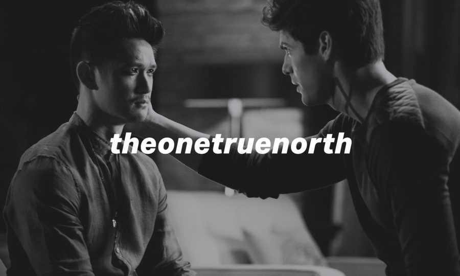 Author Spotlight: theonetruenorth